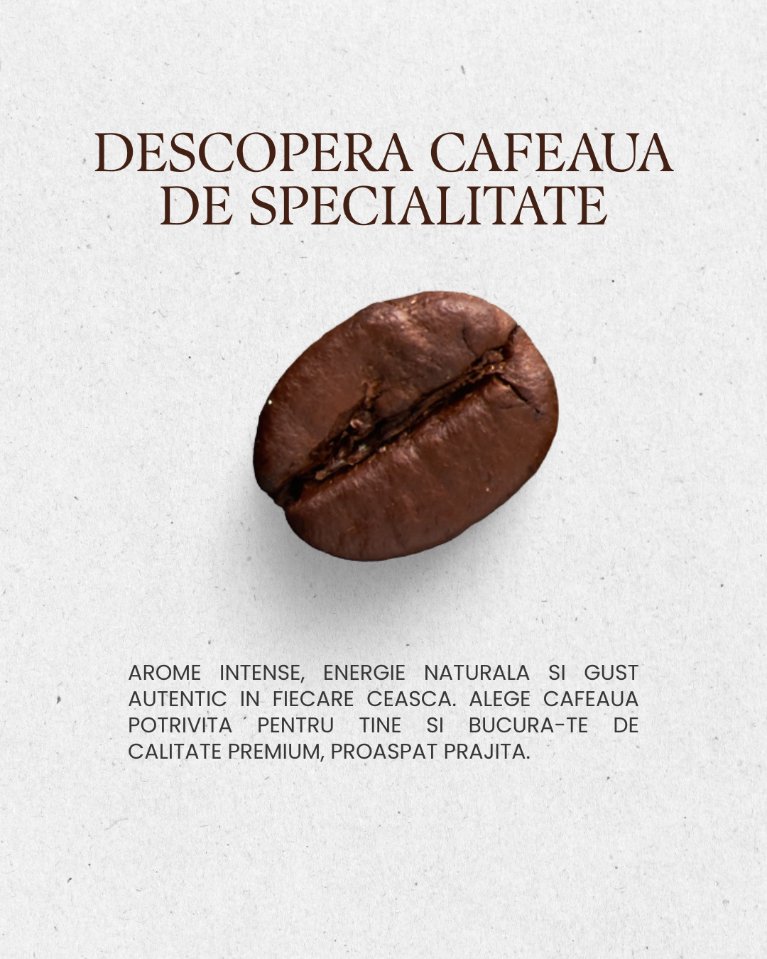 boaba de cafea de specialitate proaspat prajita pe fundal minimalist, simbol al calitatii si aromelor intense