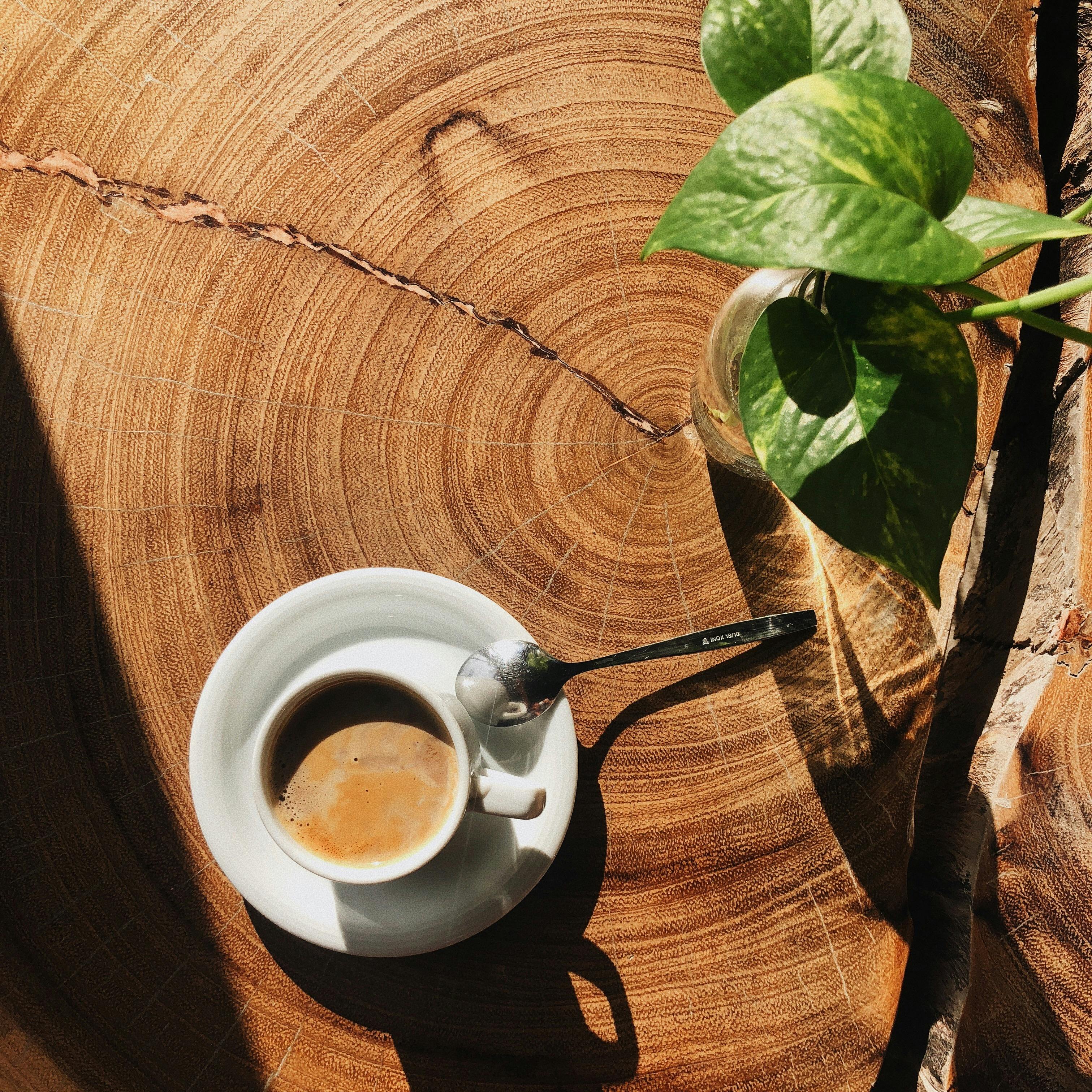 De ce boabele de cafea contează — cum alegi cafeaua perfectă pentru acasă